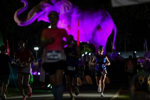 BIB: 
                            <button type="button" onclick="openModal(26530647)" class="btn btn-primary btn-sm float-right btn-popup" data-toggle="modal" data-target=".modal-high-quality">
                        <i class="fas fa-shopping-cart"></i> Add to Cart
                    </button>
                                            <button type="button" onclick="isThisMe(26530647, true)" class="btn btn-success btn-sm float-right btn-popup btn-isme hidden" data-toggle="tooltip" data-placement="bottom" title="นี่คือรูปของคุณใช่ไหม คลิกที่นี่เพื่อเอาเข้าอัลบั้ม">
                        <i class="fas fa-plus"></i> Add to album
                    </button>
                    <button type="button" onclick="isThisMe(26530647, false)" class="btn btn-warning btn-sm float-right btn-popup btn-isnotme hidden">
                        <i class="fas fa-ban"></i> Remove from album
                    </button>